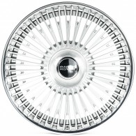 WS FORGED WS-LR13С BRUSHED_SILVER_LIP_POLISH_FORGED