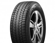 Bridgestone Blizzak DM-V3