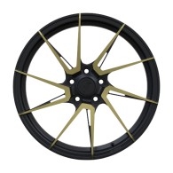 WS FORGED WS-50M GLOSS_BLACK_LIP_GLOSS_BRONZE_FORGED