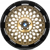 WS FORGED WS-B021C GLOSS_BRONZE_LIP_GLOSS_BLACK_FORGED